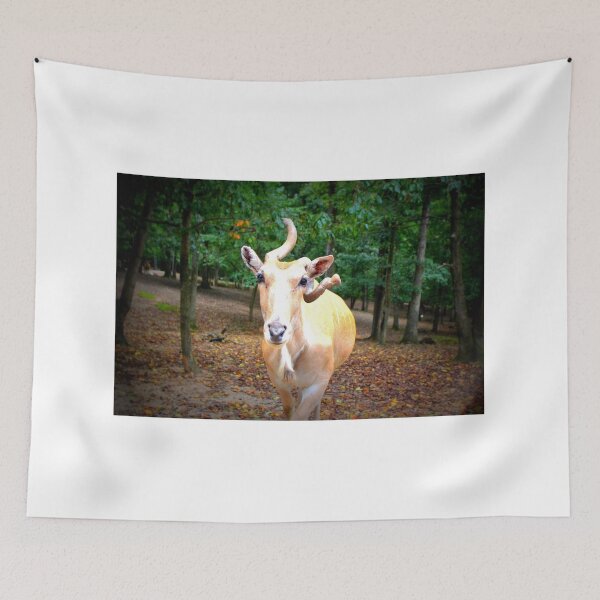 Item preview, Cuteness Overload designed and sold by Cynthia48.