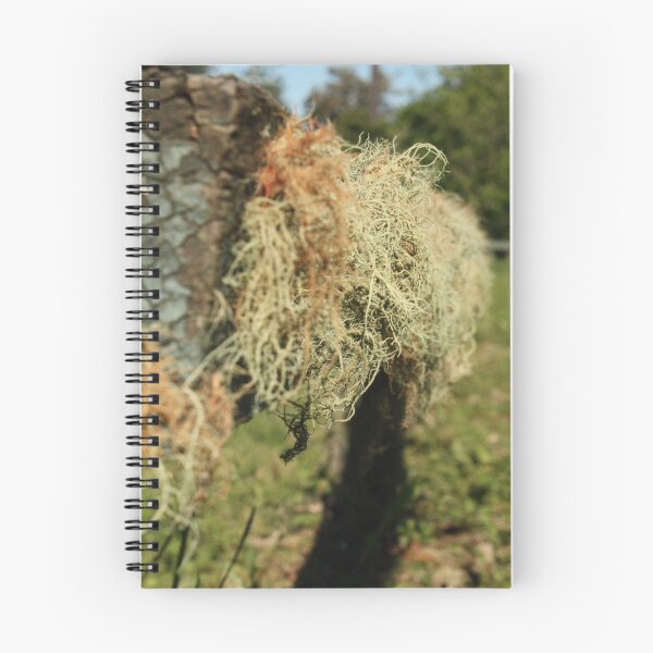 Item preview, moss designed and sold by janneb.
