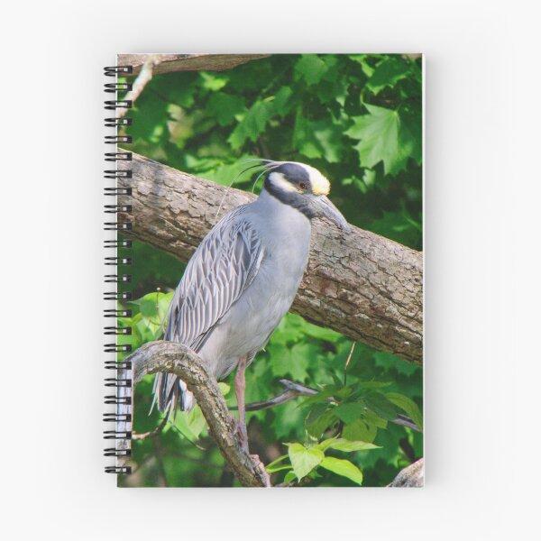 Item preview, Yellow Crowned Night Heron designed and sold by sk66.