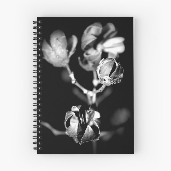 Item preview, Even the flowers are gone designed and sold by Dan Casey Campbell.