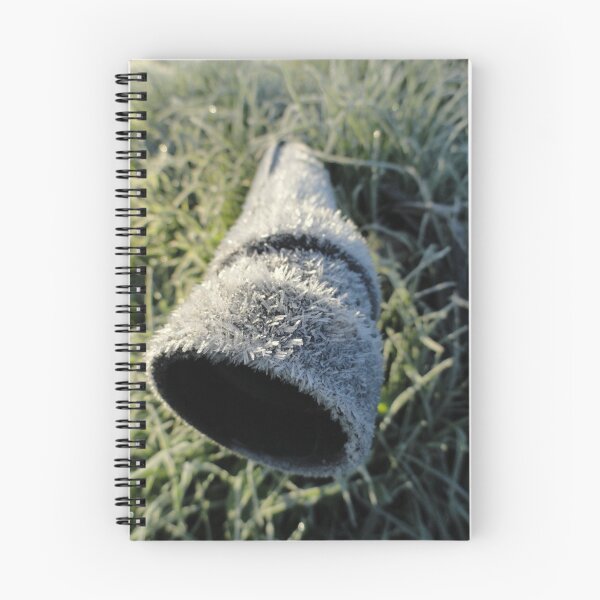 Item preview, Frosted designed and sold by Goudy.