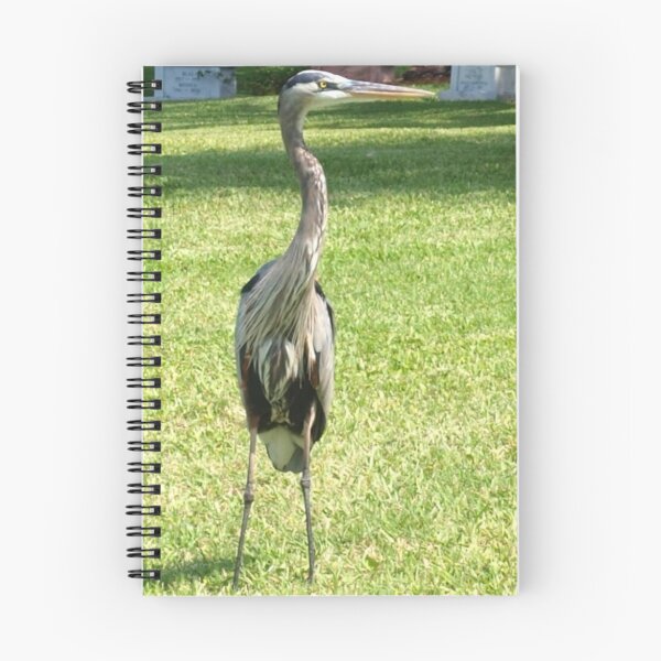 Item preview, Alert for signs of life designed and sold by B. Randi Bailey.