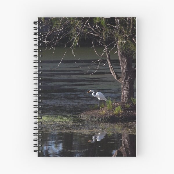 Item preview, Intermediate egret #2 designed and sold by Odille Esmonde-Morgan.