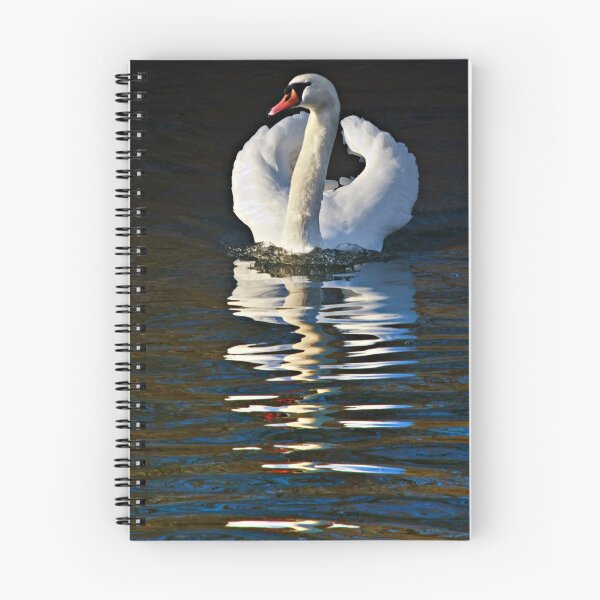 Item preview, Mute swan - Cygnus olor designed and sold by David Lewins.