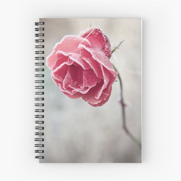 Item preview, Frosted Red Rose designed and sold by DaveTurner.