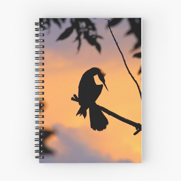 Item preview, American Darter designed and sold by Robbie Labanowski.