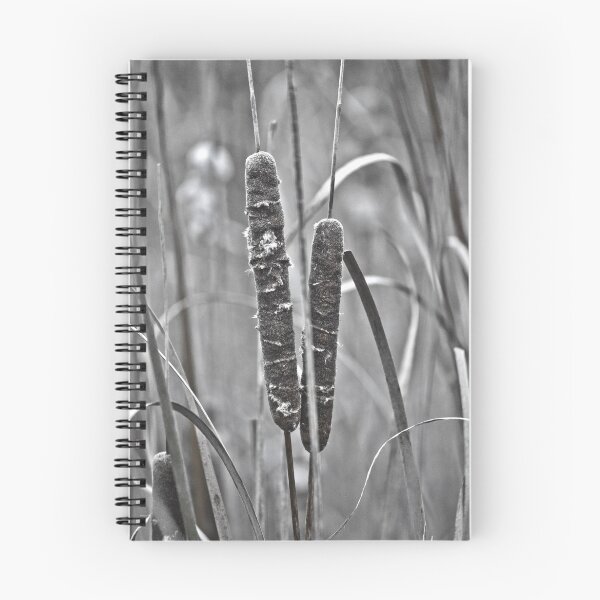 Item preview, Cattail in Oka designed and sold by Sylvain Dumas.