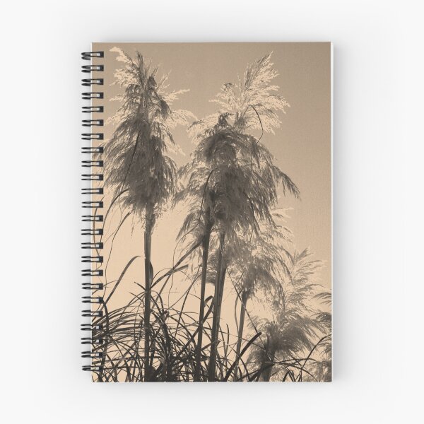 Item preview, pampas grass designed and sold by JohnHDodds.