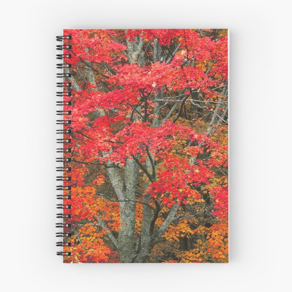 Item preview, MAPLE TREE,AUTUMN designed and sold by Chuck Wickham.