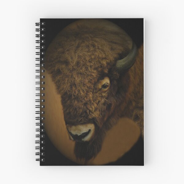Item preview, Buffalo III designed and sold by Souvenir.