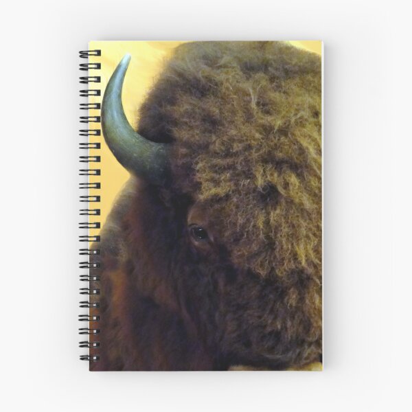 Item preview, Buffalo IV designed and sold by Souvenir.