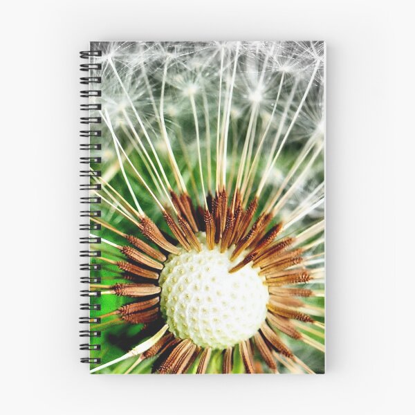 Item preview, Seed pods of the Dandelion designed and sold by Clive.
