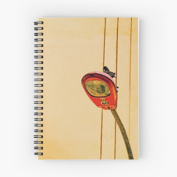 Item preview, Pigeon in lamppost designed and sold by ConnyCaiceo.