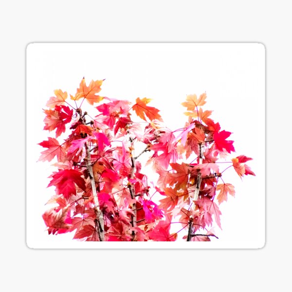 Item preview, beautiful autumn designed and sold by TessAndre.