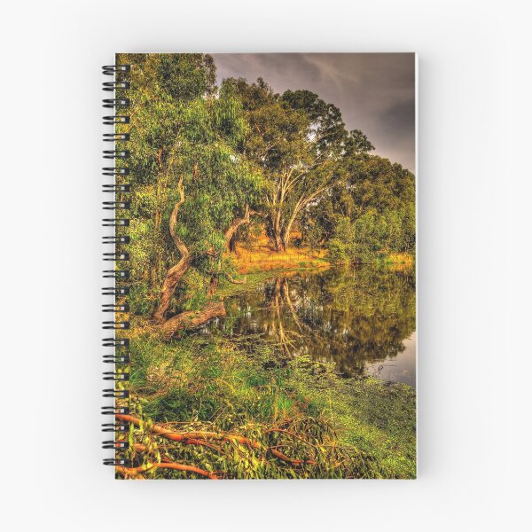 Item preview, Reflecting Time - Wonga Wetlands, Albury , NSW Australia - The HDR Experience designed and sold by Salieri1627.