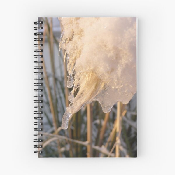 Item preview, Icy Pampas Grass designed and sold by Aoife Mc Nulty.