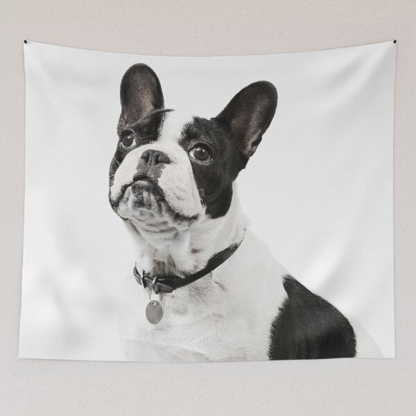 Item preview, Black and White Frenchie designed and sold by ernest123.