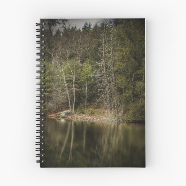Item preview, Reservoir Reflections designed and sold by aaronc.
