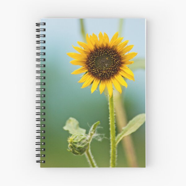 Item preview, Summer Feeling designed and sold by John De Bord Photography.