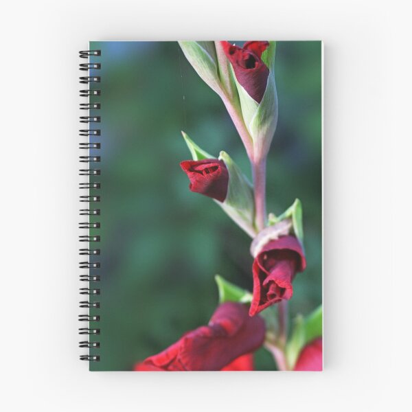 Item preview, Vitality designed and sold by yaDes.