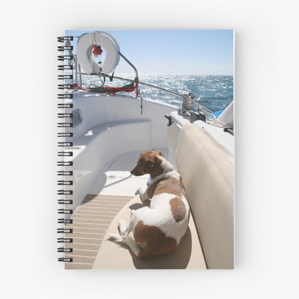 Item preview, Bruce on the boat designed and sold by Denzil.
