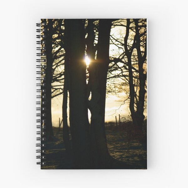 Item preview, Woodland light designed and sold by Andy Beattie.