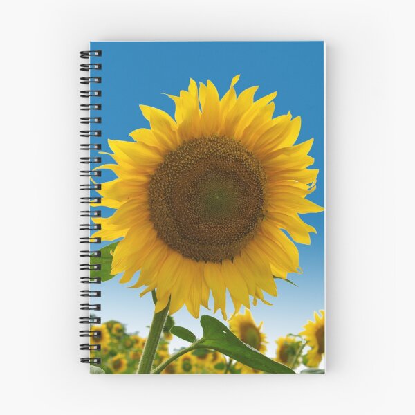 Item preview, sunflower against blue sky designed and sold by mike2048.
