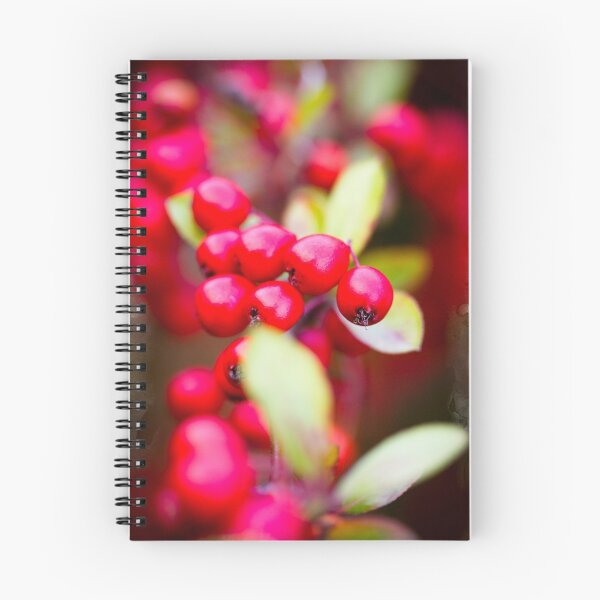 Aperçu de l'œuvre Red Berries créée et vendue par Minna  Waring.