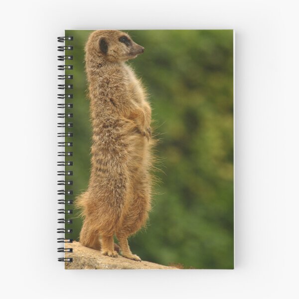 Item preview, meercat designed and sold by Ian Middleton.