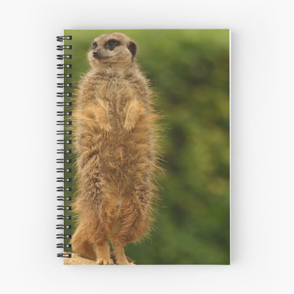 Item preview, meercat designed and sold by Ian Middleton.