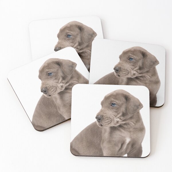 Item preview, Little Dane designed and sold by ernest123.
