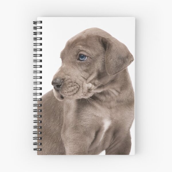 Item preview, Little Dane designed and sold by ernest123.