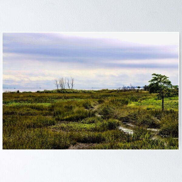 Item preview, Stream Thru the Bog designed and sold by DeerPhotoArts.