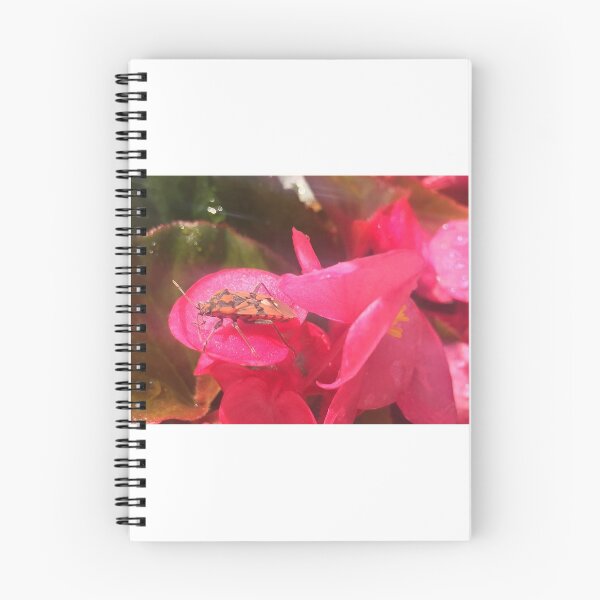 Item preview, Insect designed and sold by MaxPak.