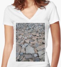#Rubble, #broken, #stone, #irregular, #size, #Stamford, #StamfordCity, #winter, #nature, #snow, #frost, #outdoors, #icee #cold, #wood, #season, #bird, #tree, #frozen, #dry, #garden, #colorimage Women's Fitted V-Neck T-Shirt