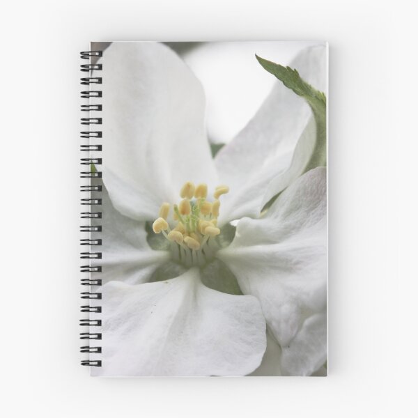 Item preview, Apple Blossom II designed and sold by Samantha Bailey.