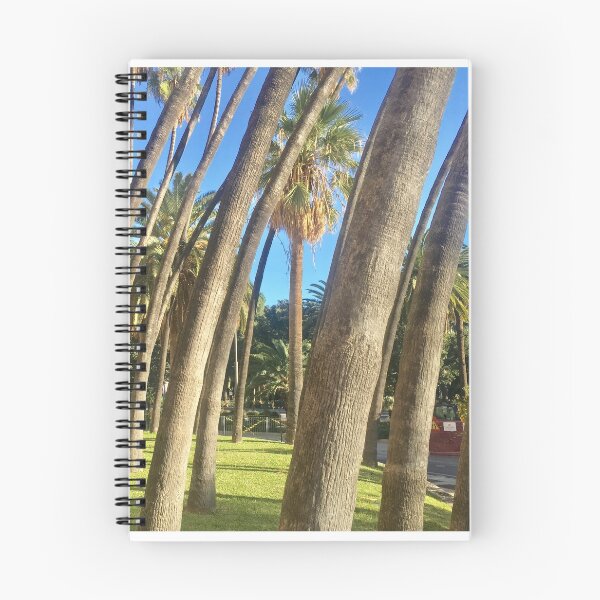 Item preview, Palmera designed and sold by MaxPak.