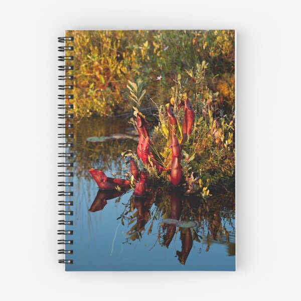 Item preview, Killarney: Pitcher Plants, Balsam Lake designed and sold by Skye Hohmann.
