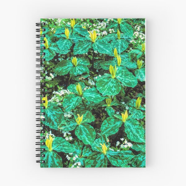 Item preview, TRILLIUM designed and sold by Chuck Wickham.