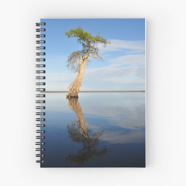 Item preview, Solitary Cypress designed and sold by Michele Conner.