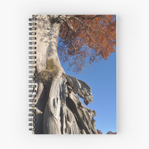 Item preview, Tree Hugging designed and sold by Michele Conner.