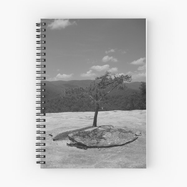 Item preview, Being strong designed and sold by William Swartout.