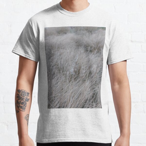 #Grass, #Stamford, #StamfordCity, #winter, #nature, #snow, #frost, #outdoors, #icee #cold, #wood, #season, #bird, #tree, #frozen, #dry, #garden, #grass, #weather, #horizontal, #colorimage, #nopeople Classic T-Shirt