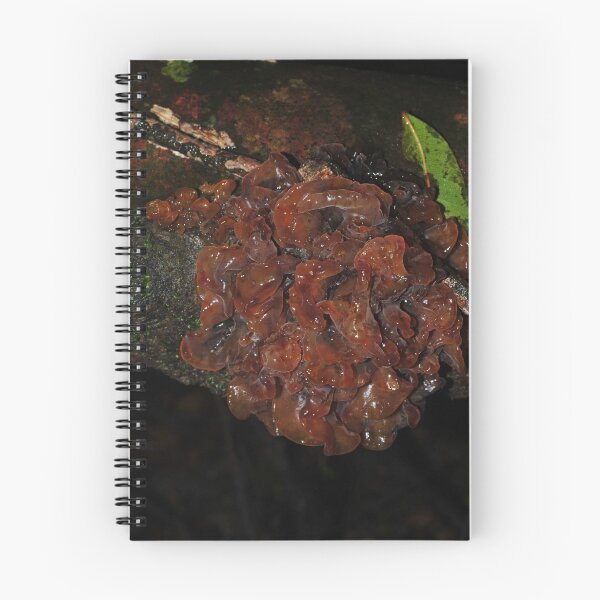 Item preview, Tremella species? designed and sold by Colin12.