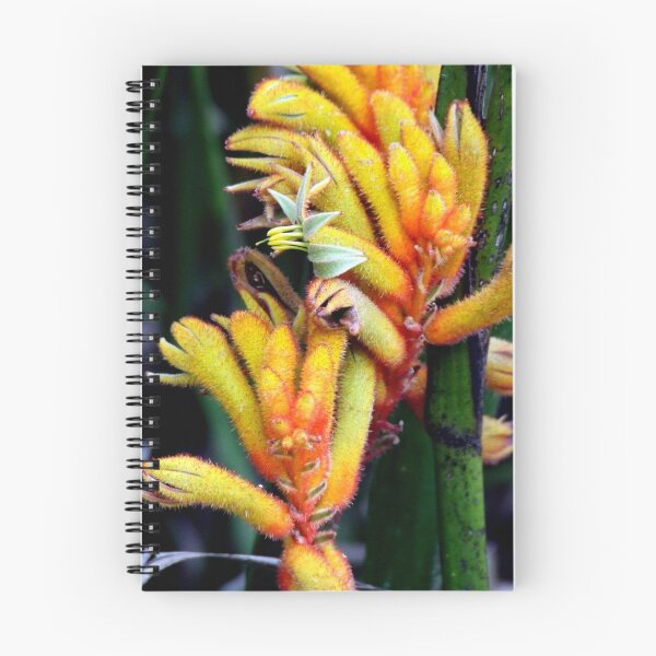 Item preview, Kangaroo Paws 1 designed and sold by Paul Todd.