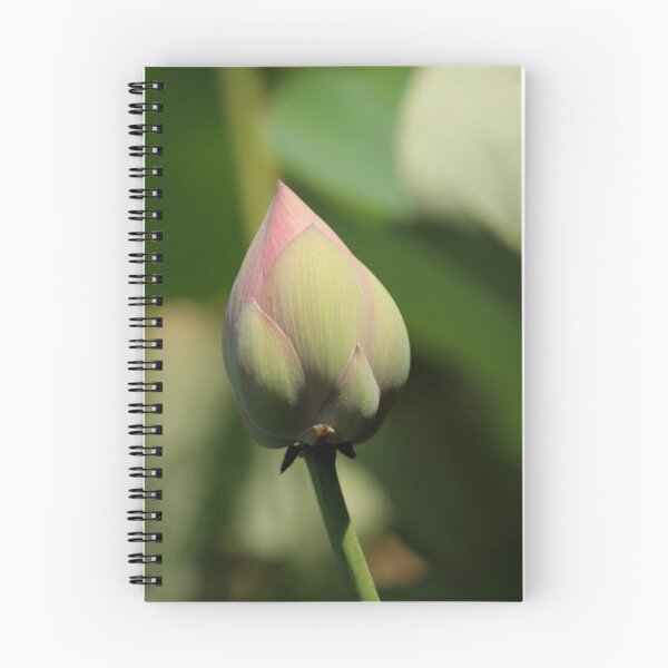 Item preview, Flower bud Kakadu National park designed and sold by Dazzla13.