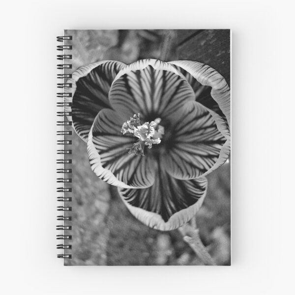Item preview, Radiography of a Flower designed and sold by Shienna.