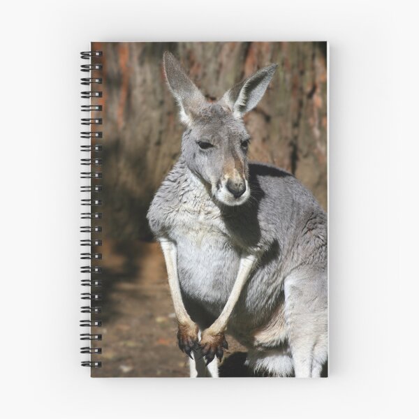 Item preview, Kangaroo designed and sold by Joanne Emery.