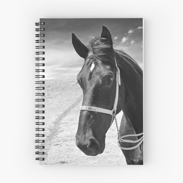 Item preview, Percheron Classic designed and sold by ALBzArt.
