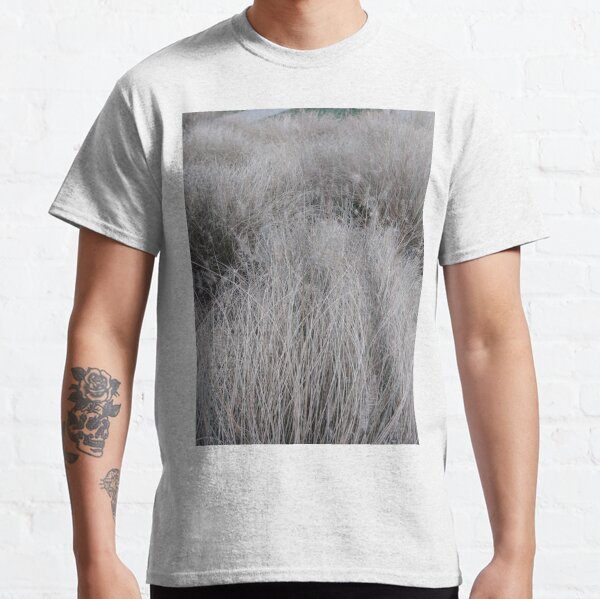 #Grass, #Stamford, #StamfordCity, #winter, #nature, #snow, #frost, #outdoors, #icee #cold, #wood, #season, #bird, #tree, #frozen, #dry, #garden, #grass, #weather, #horizontal, #colorimage, #nopeople Classic T-Shirt